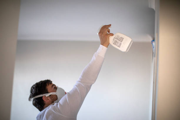 Best Office Mold Removal Services  in , MN