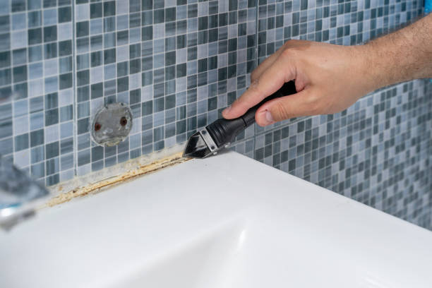 Best Affordable Mold Removal  in , MN